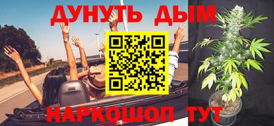 МДПВ Можга