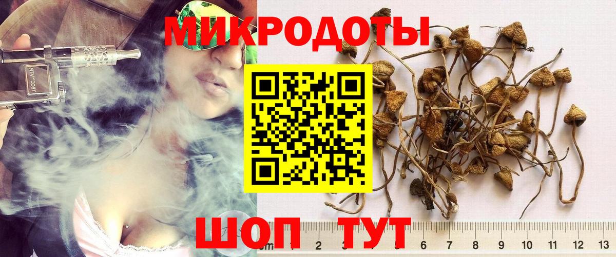 Галлюциногенные грибы мицелий Унеча