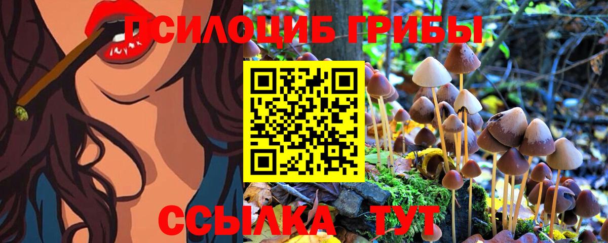 Псилоцибиновые грибы MAGIC MUSHROOMS  Псилоцибиновые грибы MAGIC MUSHROOMS  Унеча  Вход с VPN 